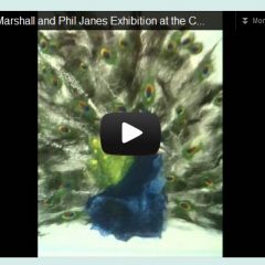 carre gallery video1