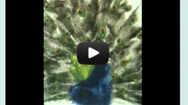 carre gallery video1