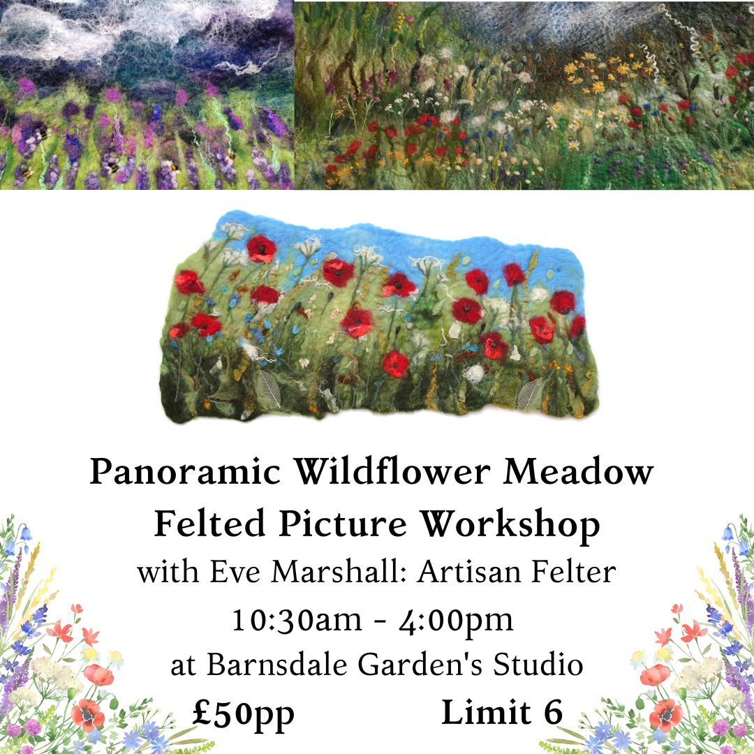 Panoramic Wildlife Meadow Picture